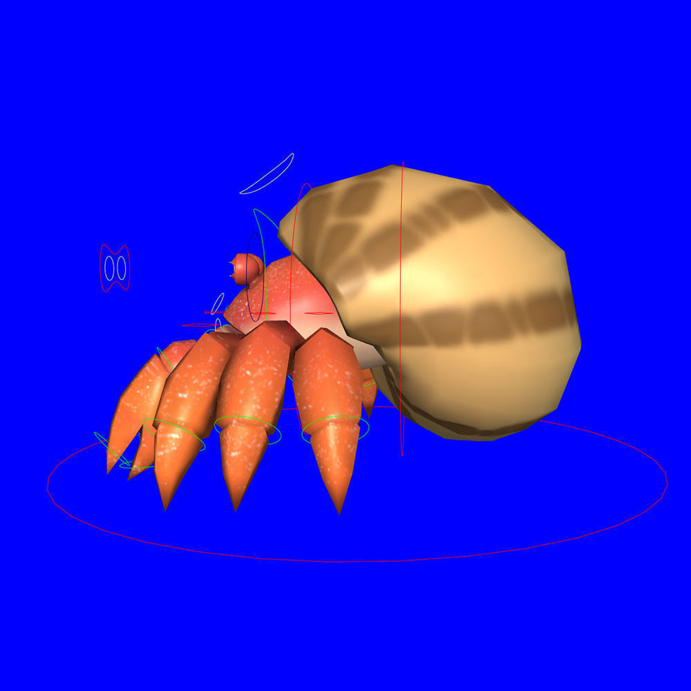 Coenobita Perlatus Animated  Low-poly 3D model_8