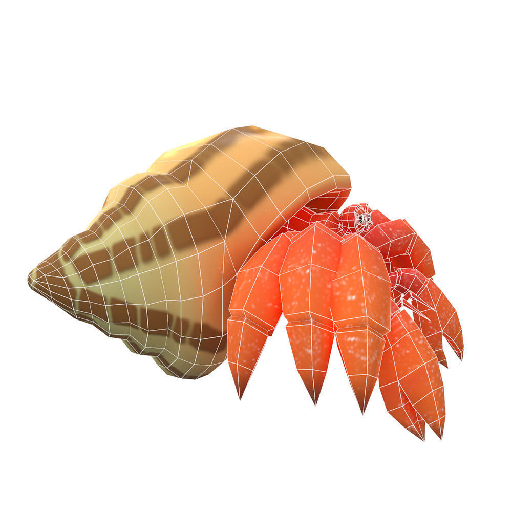 Coenobita Perlatus Animated  Low-poly 3D model_6