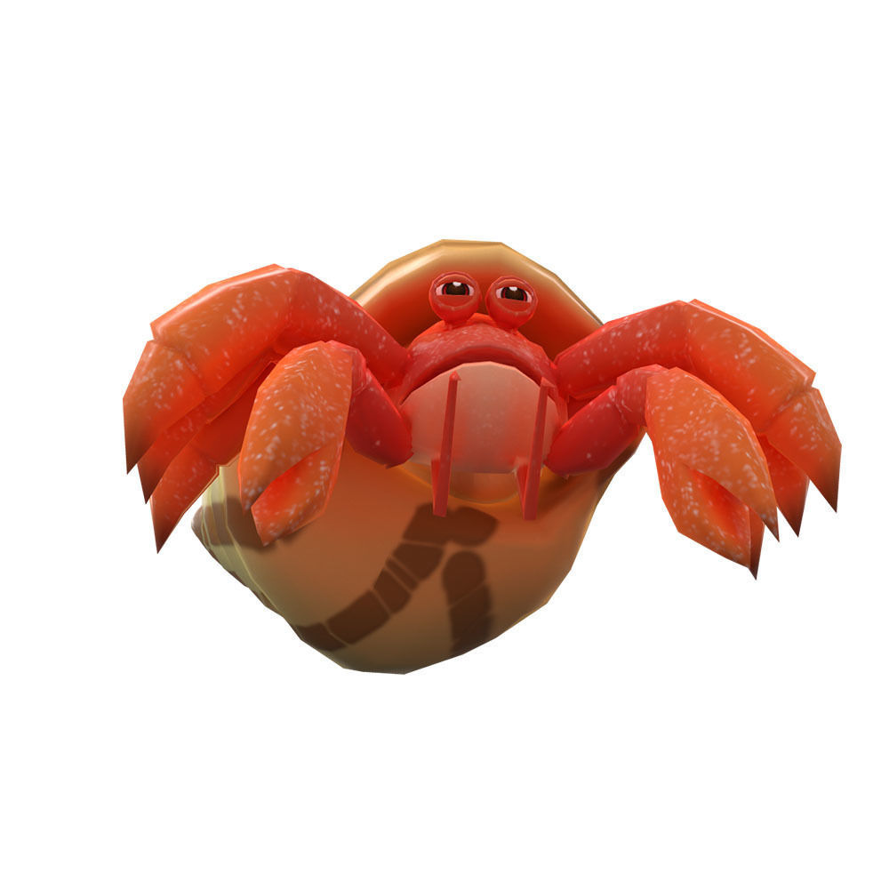 Coenobita Perlatus Animated  Low-poly 3D model_3