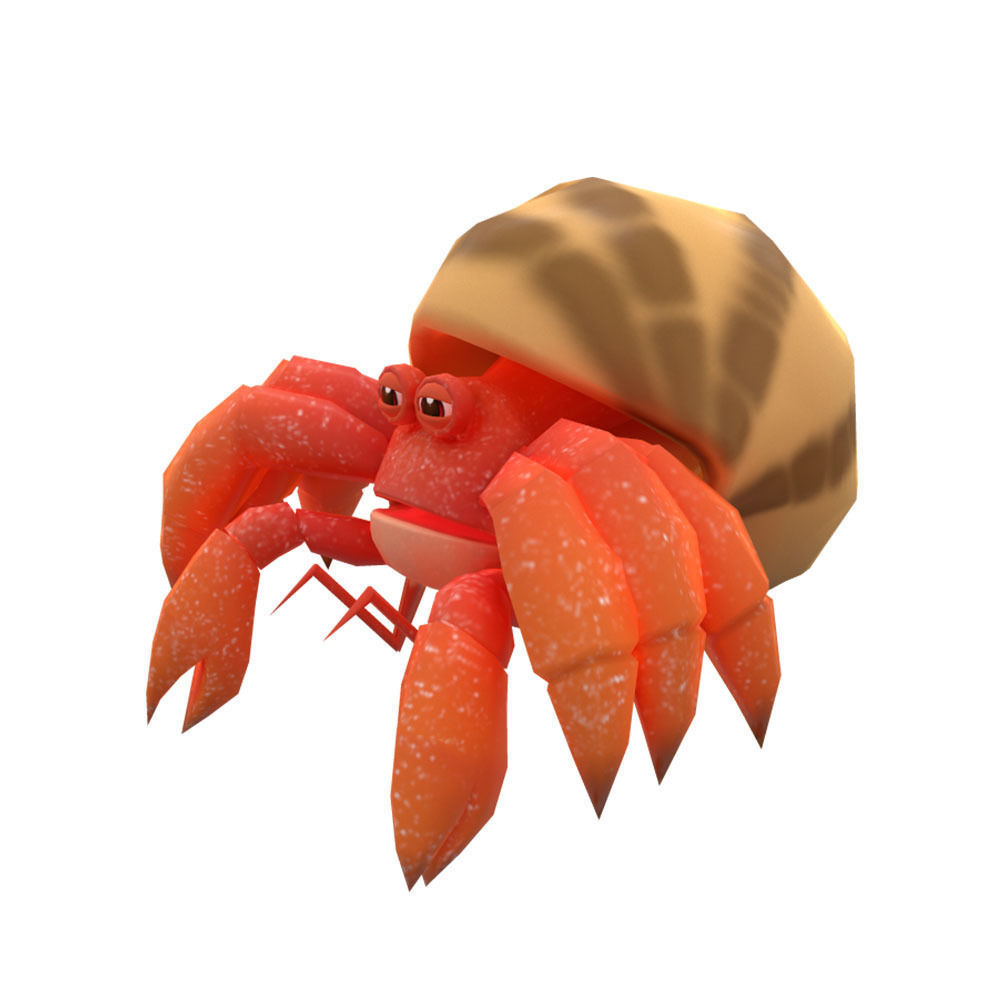 Coenobita Perlatus Animated  Low-poly 3D model_2