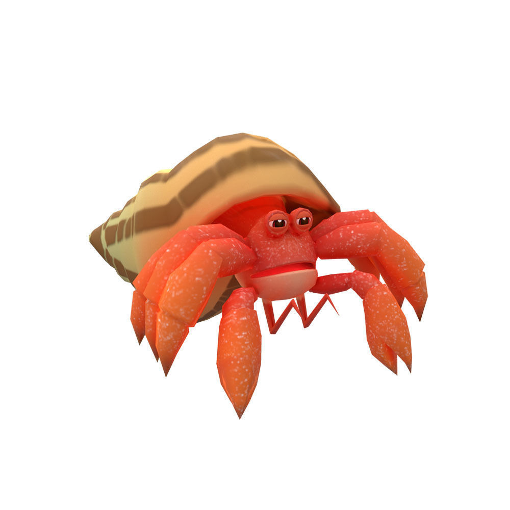 Coenobita Perlatus Animated  Low-poly 3D model_1