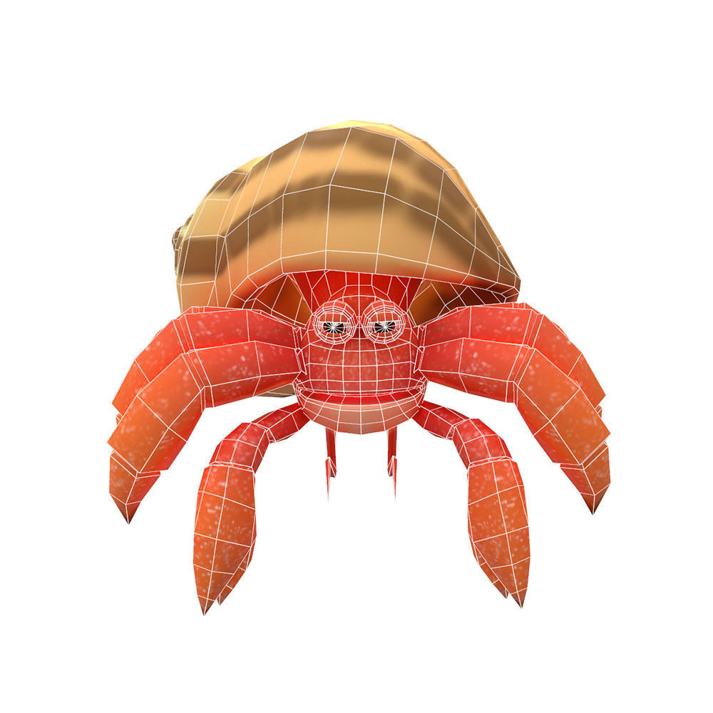 Coenobita Perlatus Animated  Low-poly 3D model_5