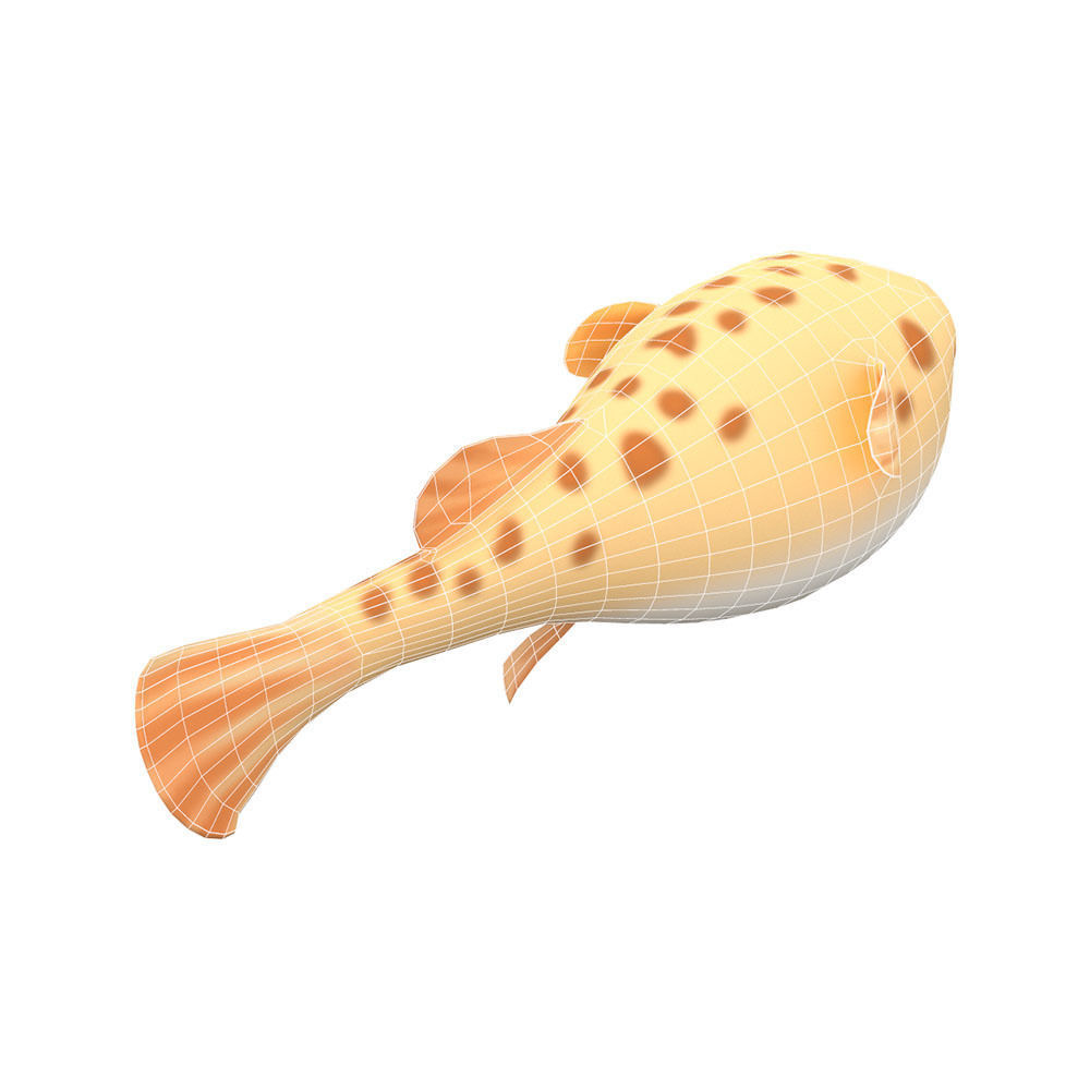 White Spotted Puffer Fish Animated  Low-poly 3D model_4