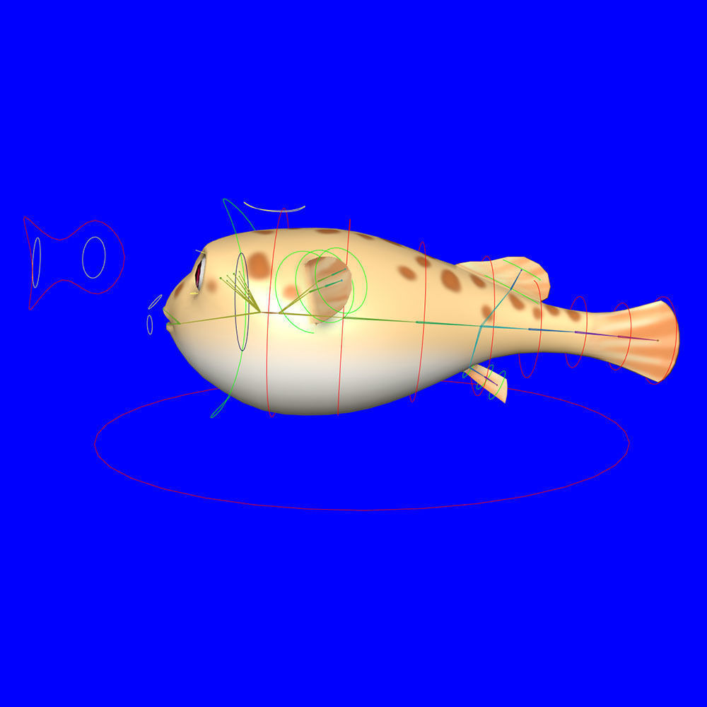 White Spotted Puffer Fish Animated  Low-poly 3D model_9
