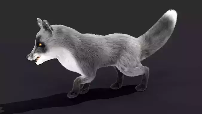 Fur Gray Fox Rigged Model Low-poly 3D model
