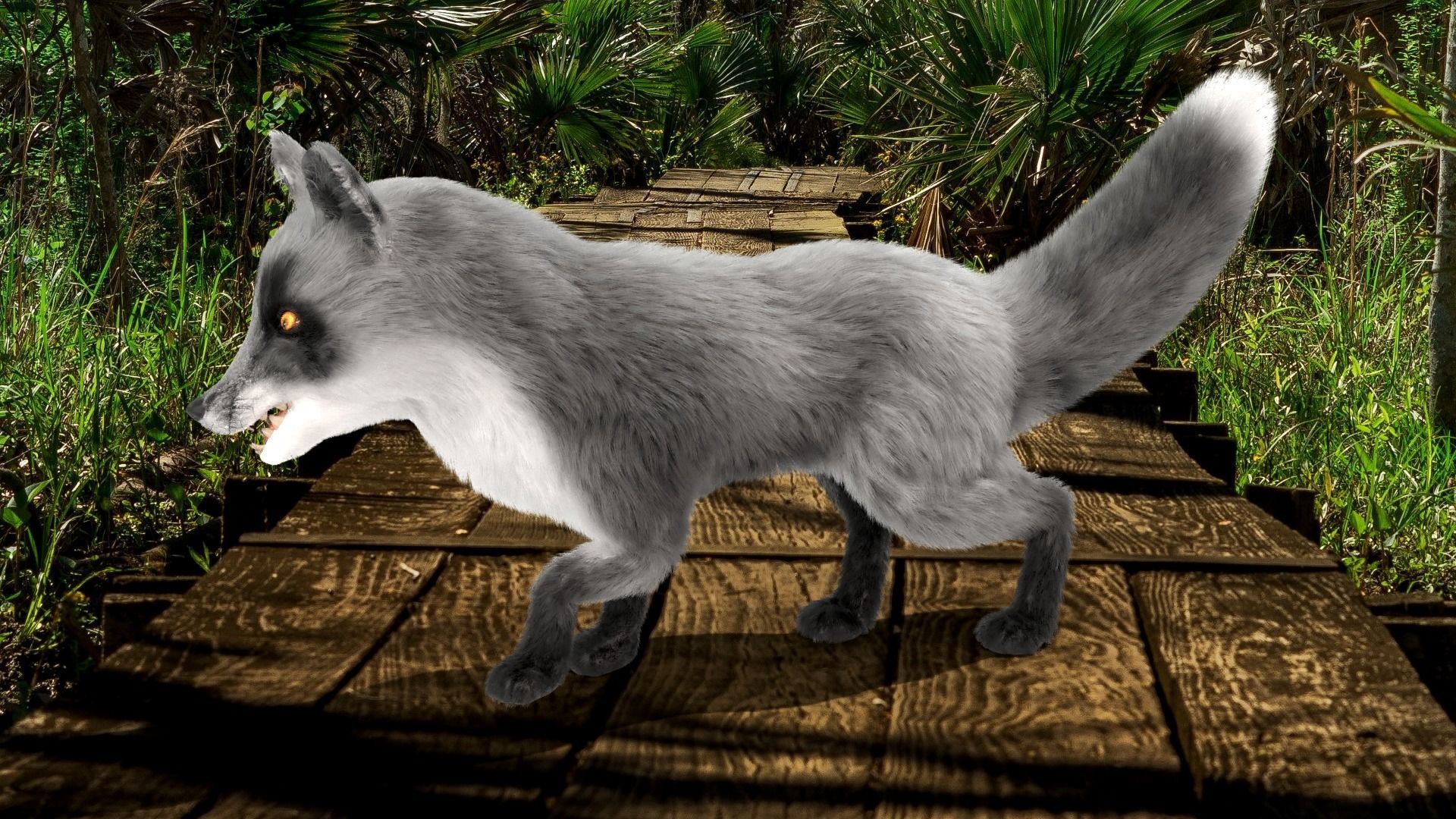 Fur Gray Fox Rigged Model Low-poly 3D model_4