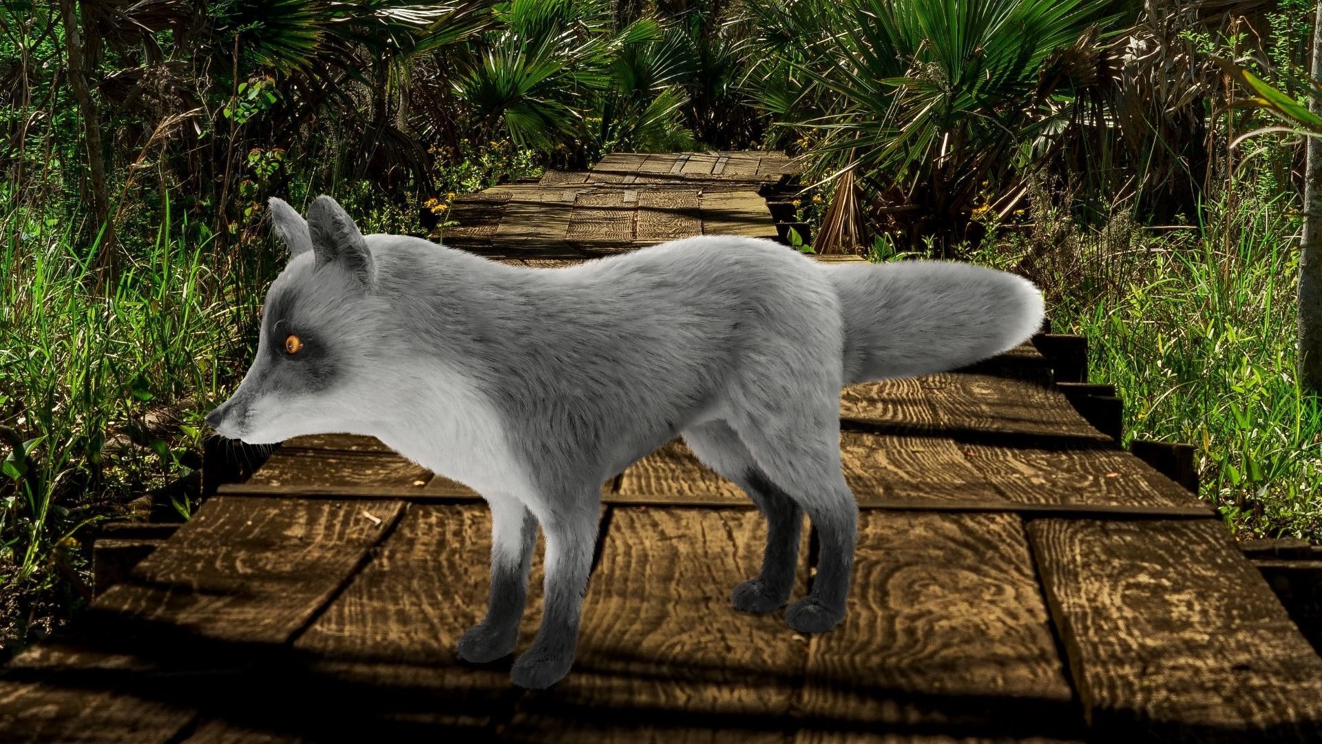 Fur Gray Fox Rigged Model Low-poly 3D model_7
