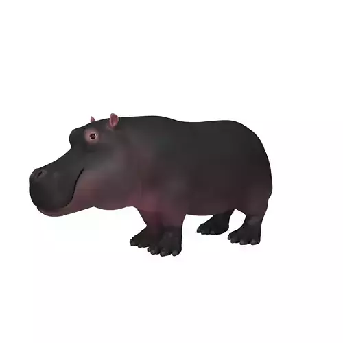 Hippopotamus Cartoon