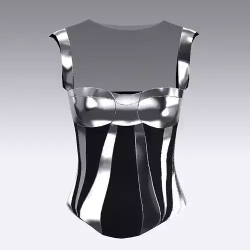 KORSET BLOUSE METALIC