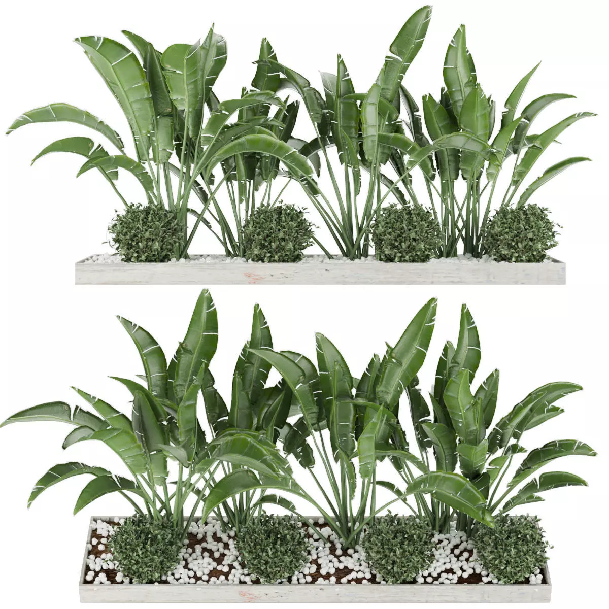 Collection plant vol 109 3D model