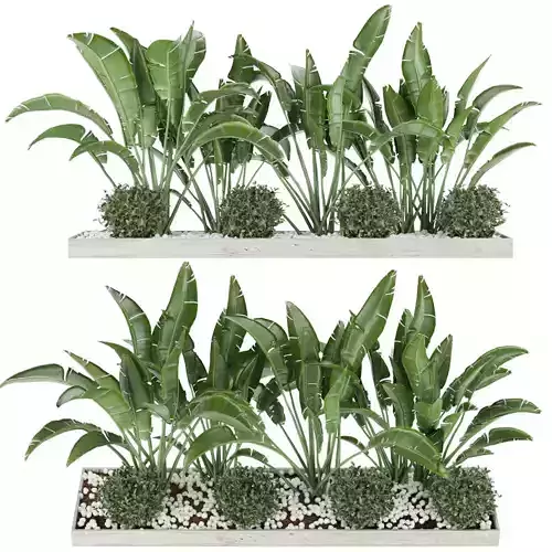 Collection plant vol 109