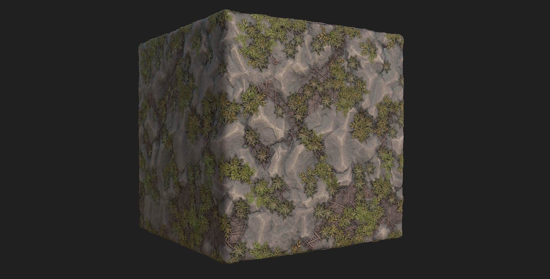 Ground 03 Material Texture_1