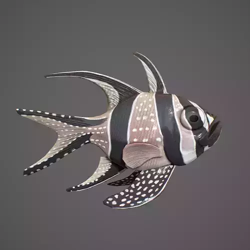  Pterapogon kauderni Low-poly 3D model