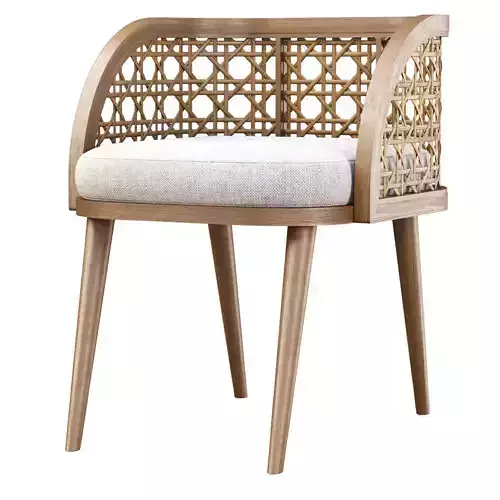 Rimma rattan dining chair DS66 