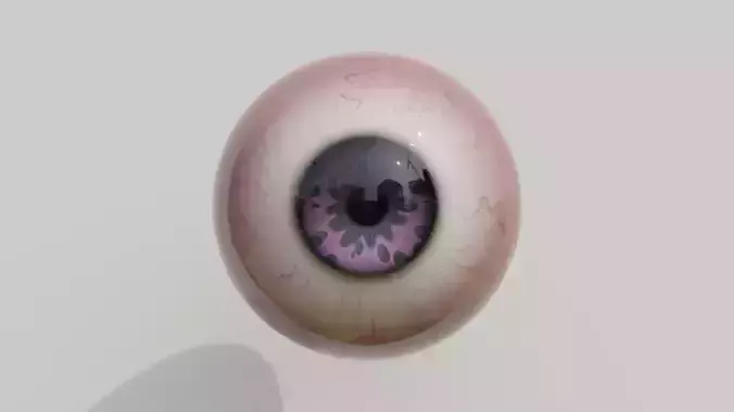 REALISTIC EYE 3D MODEL