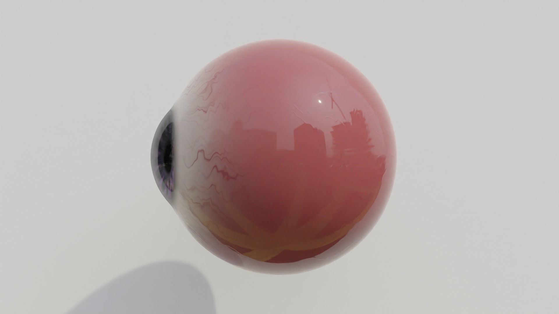 REALISTIC EYE 3D MODEL 3D model_1