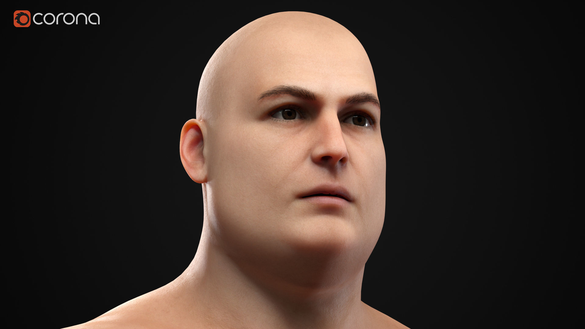 Plus size men pack 3D Model Collection_4