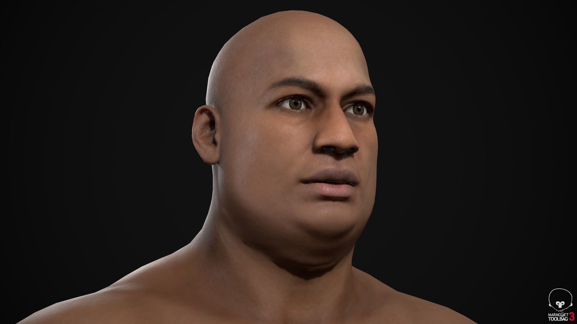 Plus size men pack 3D Model Collection_50