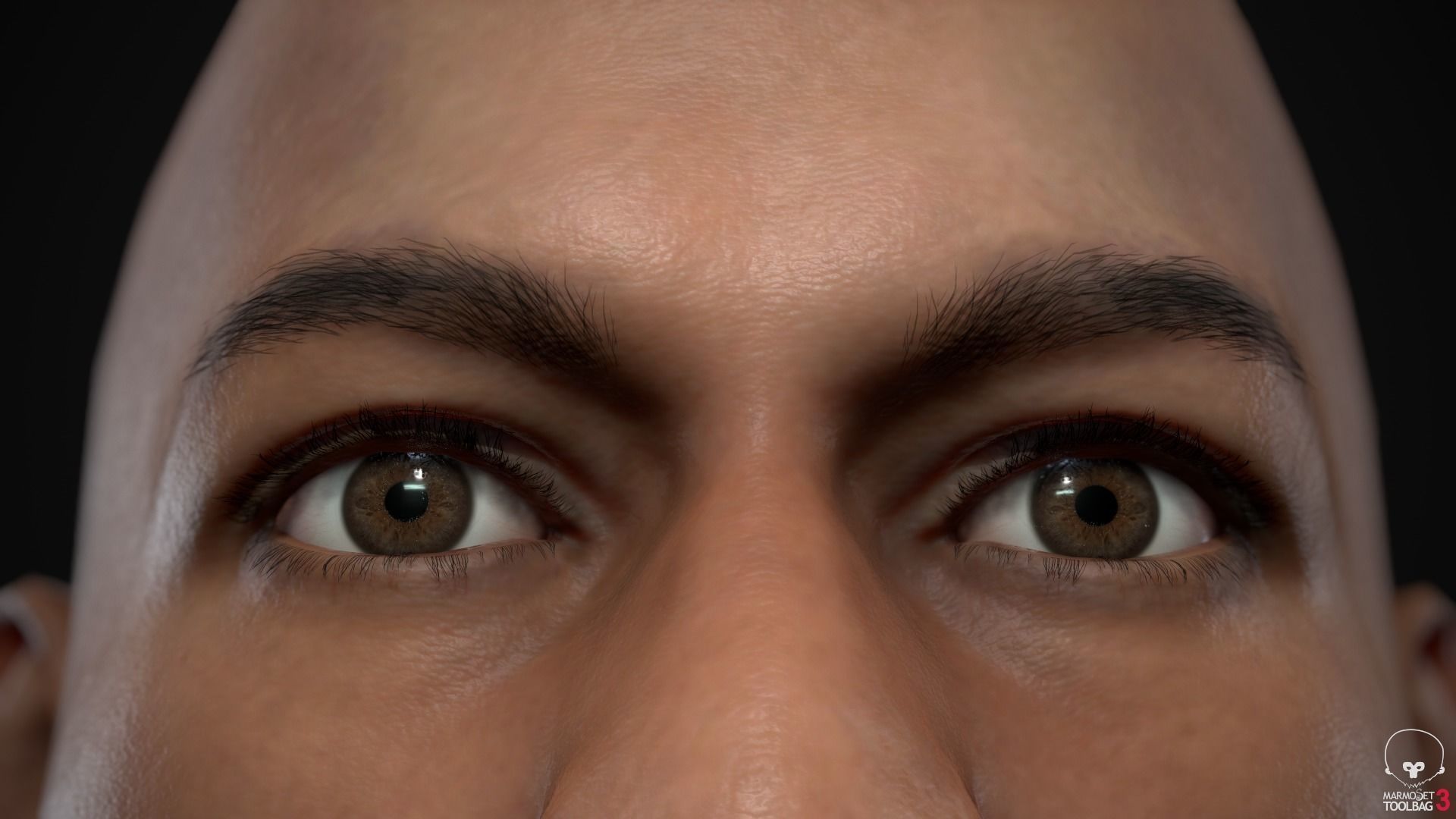 Plus size men pack 3D Model Collection_51