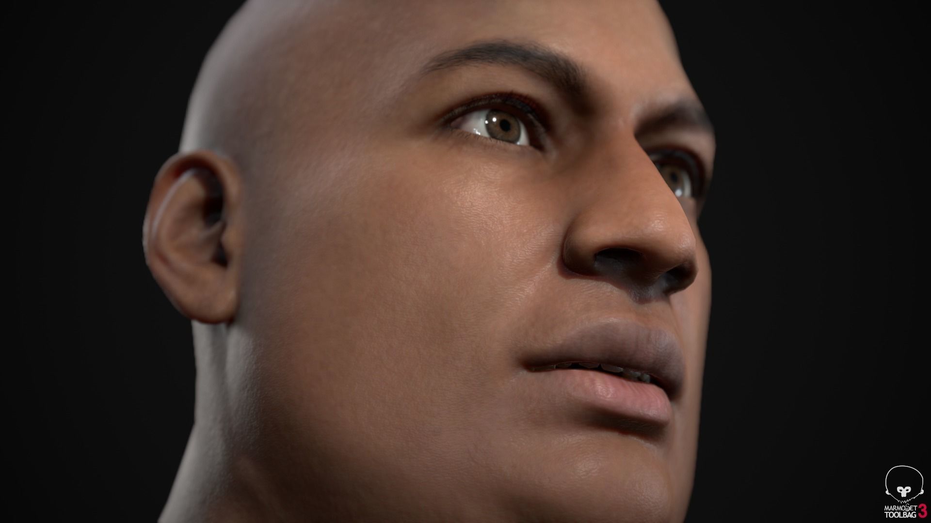 Plus size men pack 3D Model Collection_55