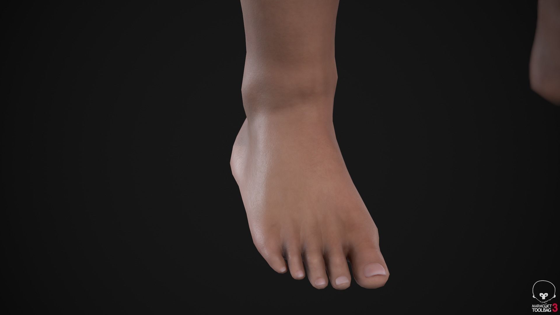 Plus size men pack 3D Model Collection_25