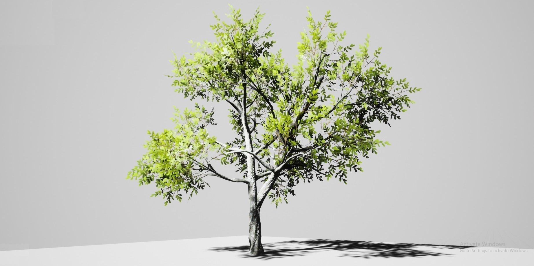 Nature Environment Asset Pack Low-poly 3D model_7