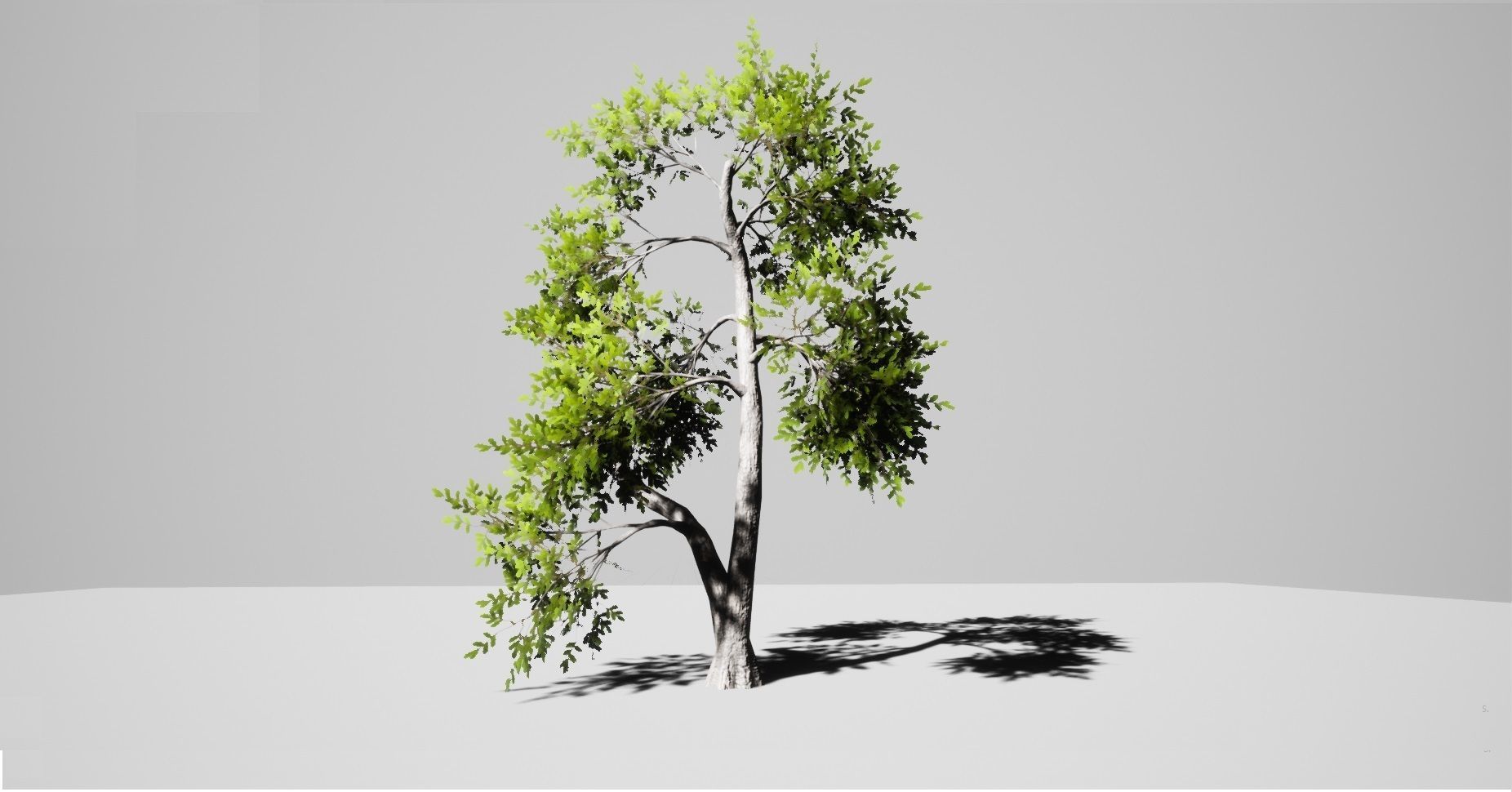 Nature Environment Asset Pack Low-poly 3D model_5