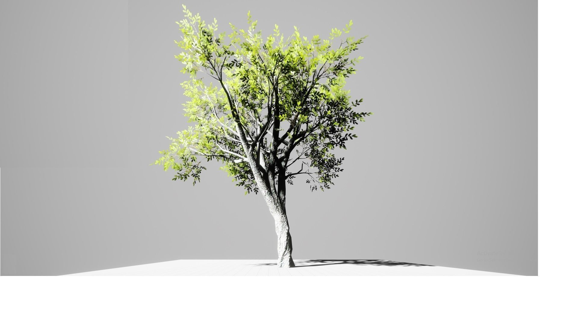 Nature Environment Asset Pack Low-poly 3D model_4