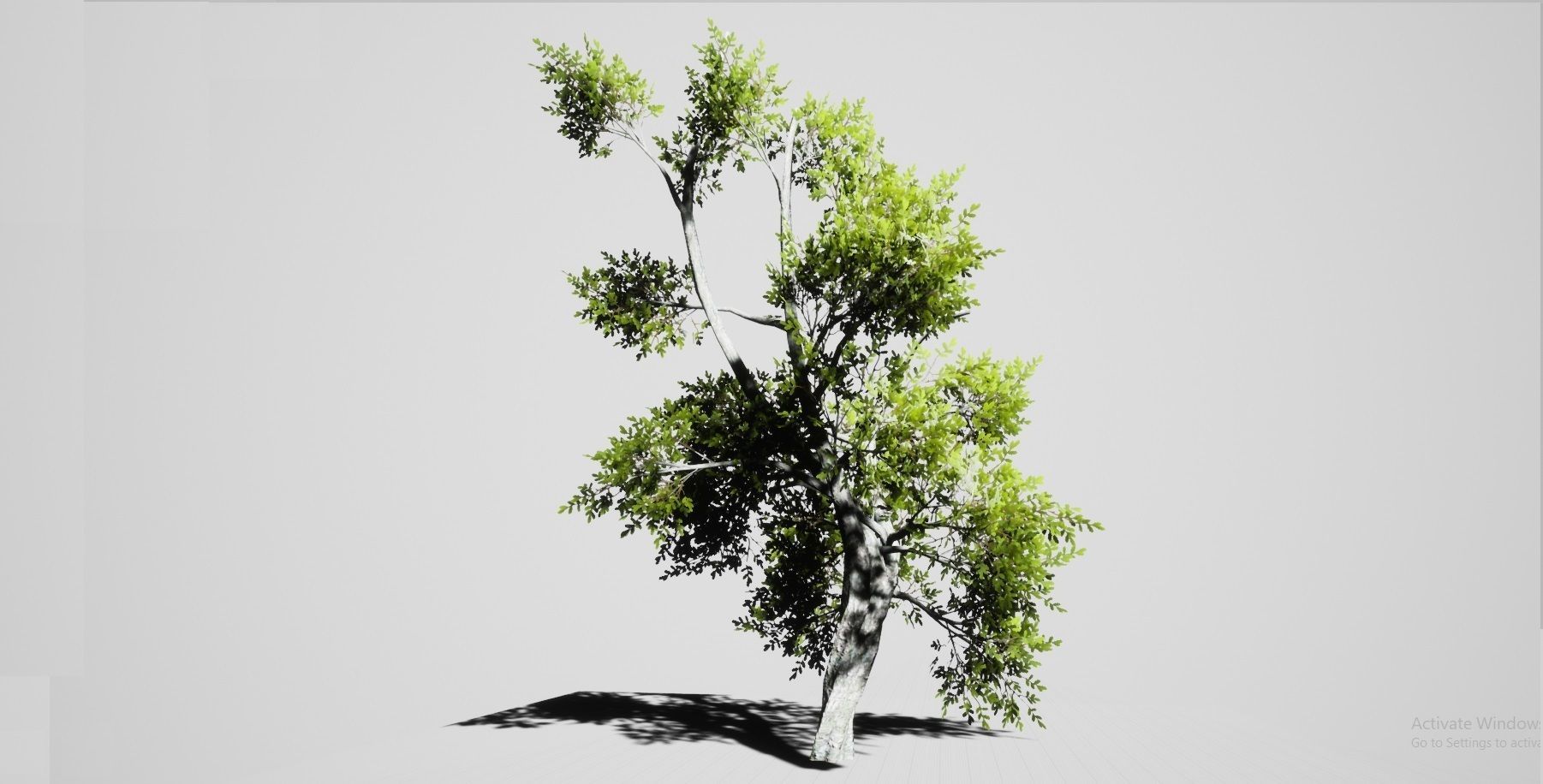 Nature Environment Asset Pack Low-poly 3D model_6