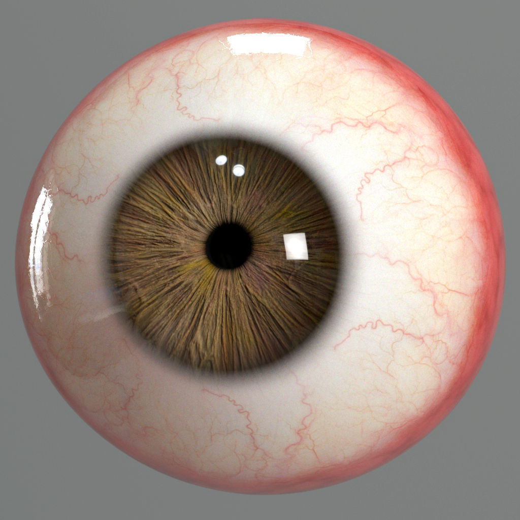 Realistic Eye human 3D model_1