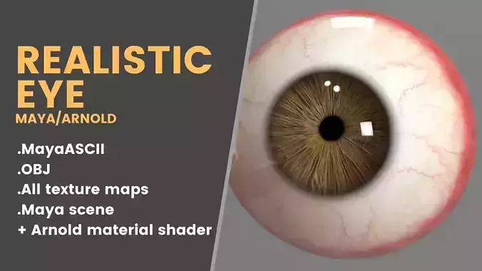 Realistic Eye human