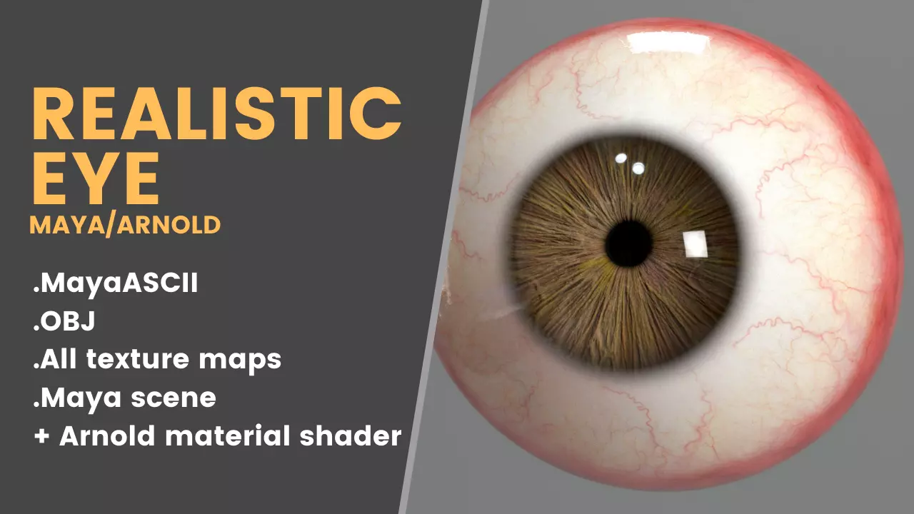 Realistic Eye human 3D model_0
