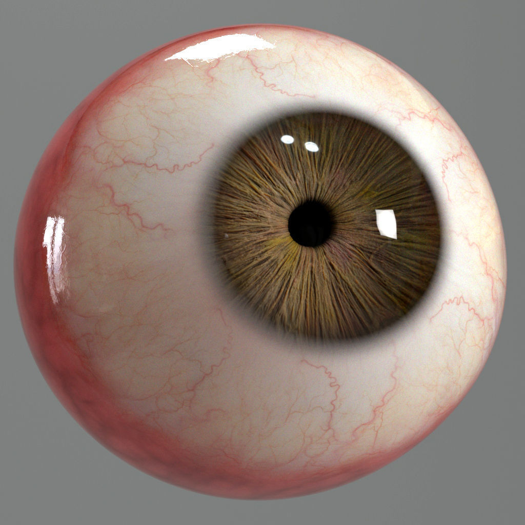 Realistic Eye human 3D model_3