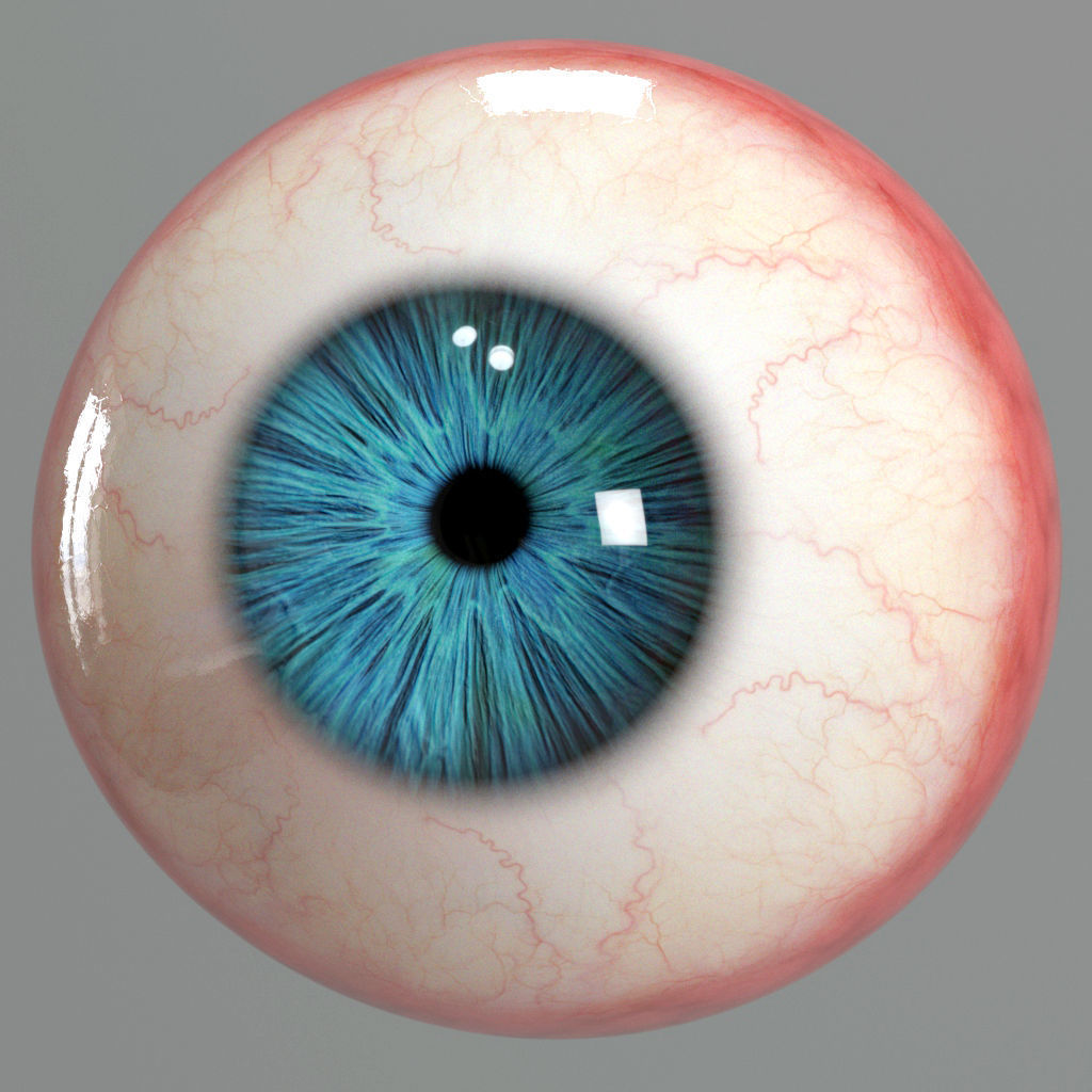 Realistic Eye human 3D model_2