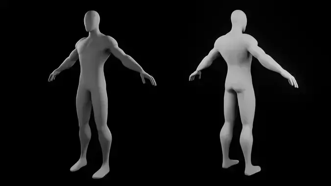 Human body 3D Free 3D model