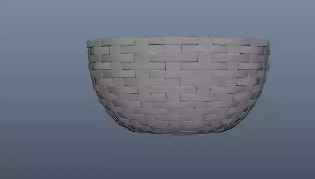 Woven Basket