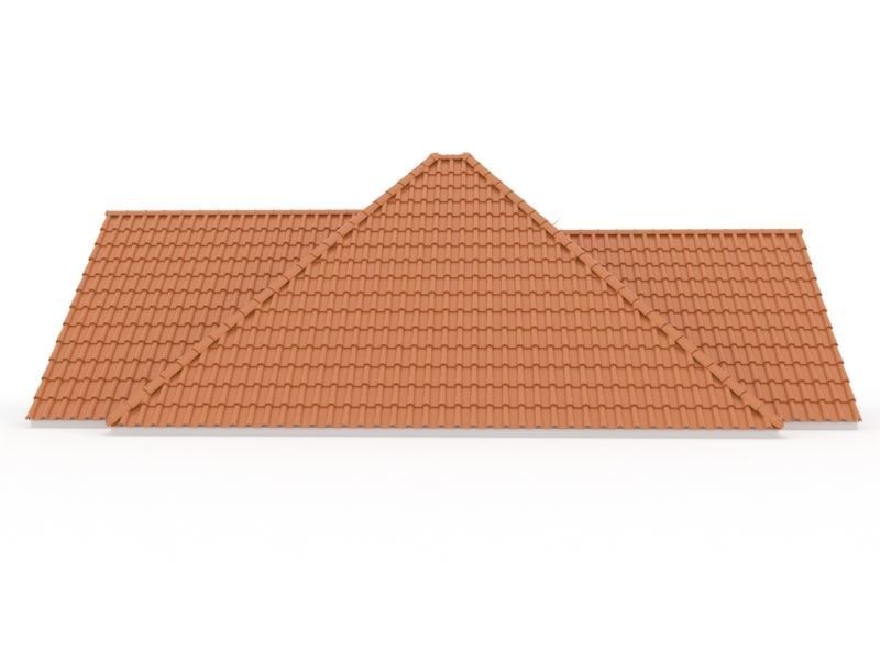 Realistic Roof Shingles 1 3D model_4