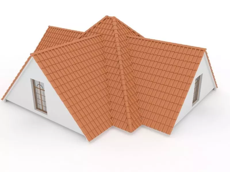 Realistic Roof Shingles 1 3D model_0