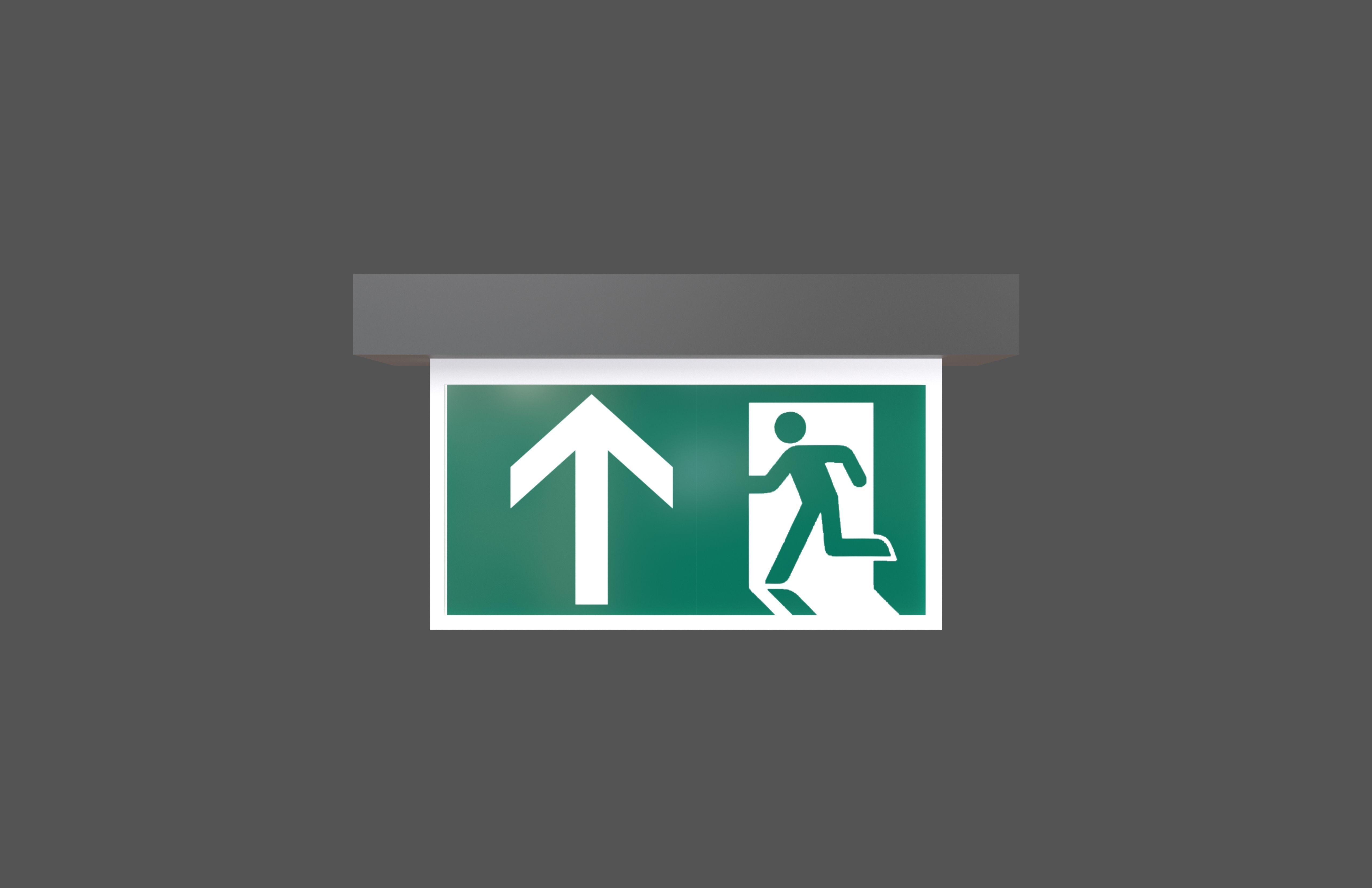 Exit Sign v1 007 Low-poly 3D model_1