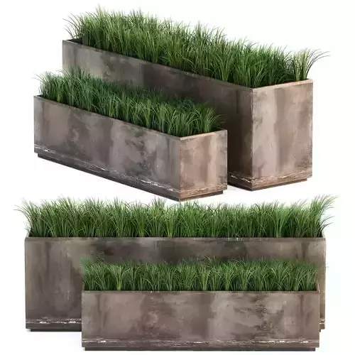 Ornamental grass in a rusty flower pot for the interior 939