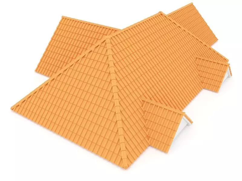 Realistic Roof Shingles 6 3D model_0