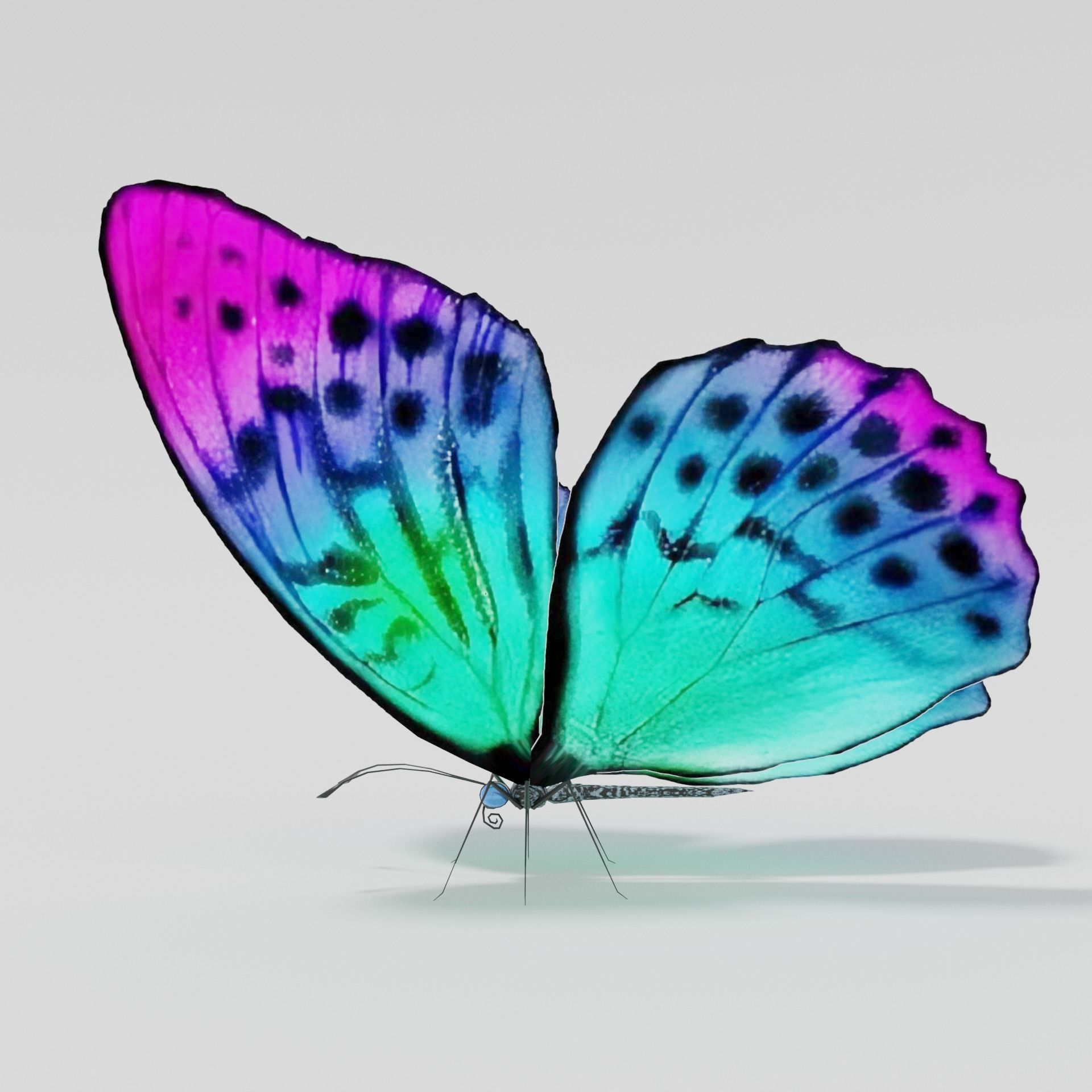 Butterfly rigged lowpoly Free low-poly 3D model_1
