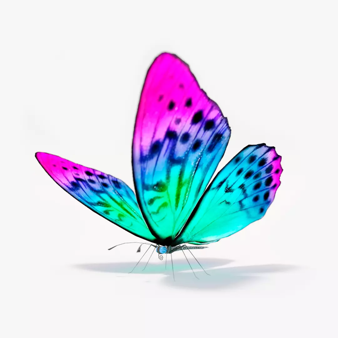 Butterfly rigged lowpoly Free low-poly 3D model_0