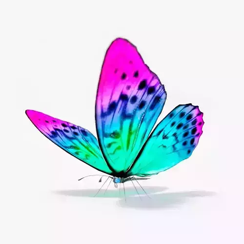 Butterfly rigged lowpoly