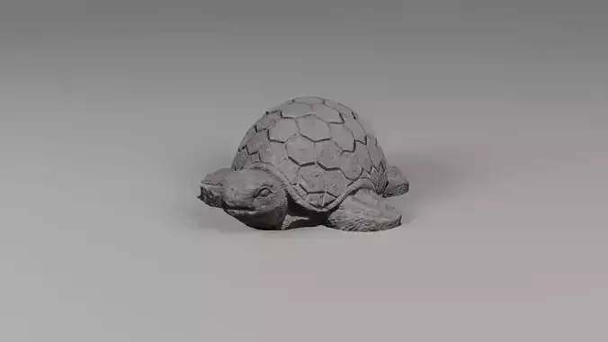 Rock turtle photoscan