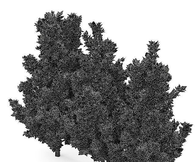 Leyland cypress - leylandi 3 trees in the scene 3D model 3D model_3