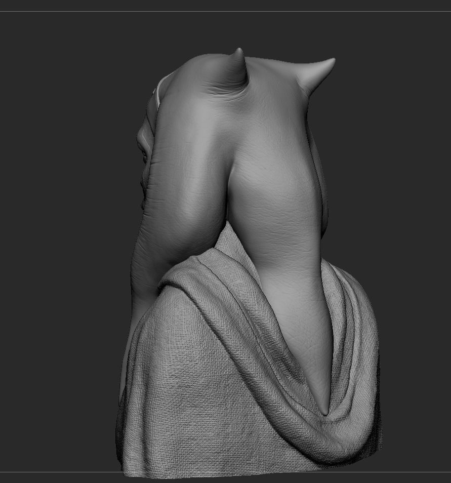 Ahsoka Tano Rosario Dawson 3D print model_11