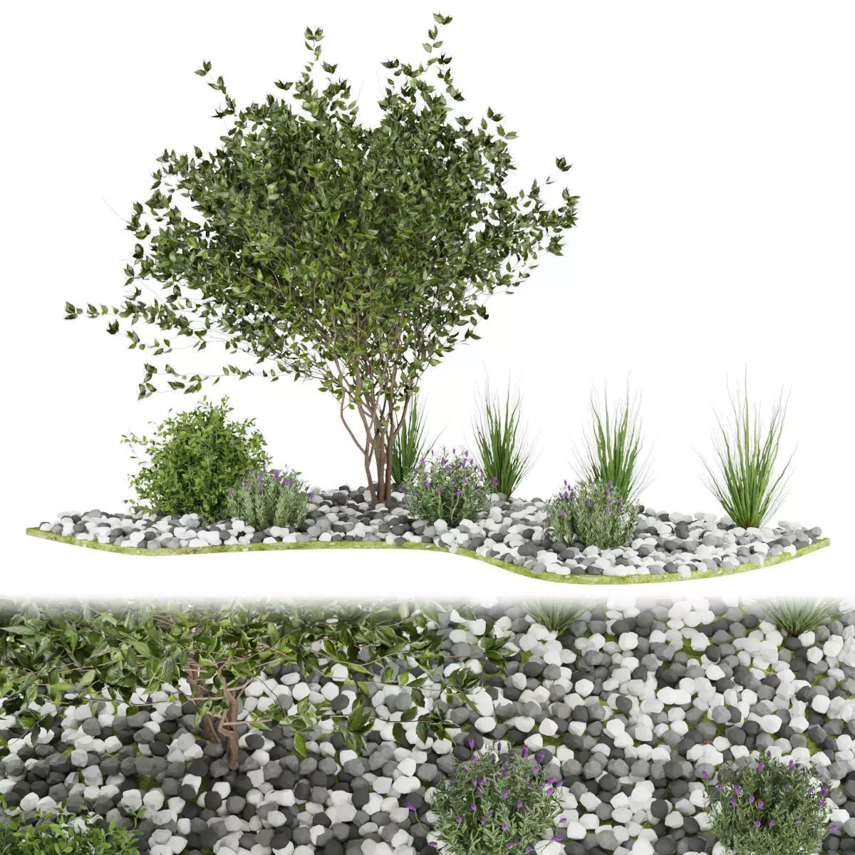 Collection plant vol 110 3D model