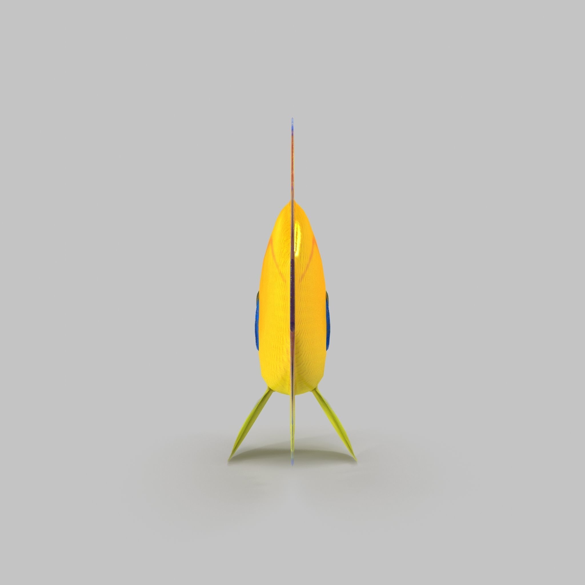 Lemon Peel Angel Low-poly 3D model_6
