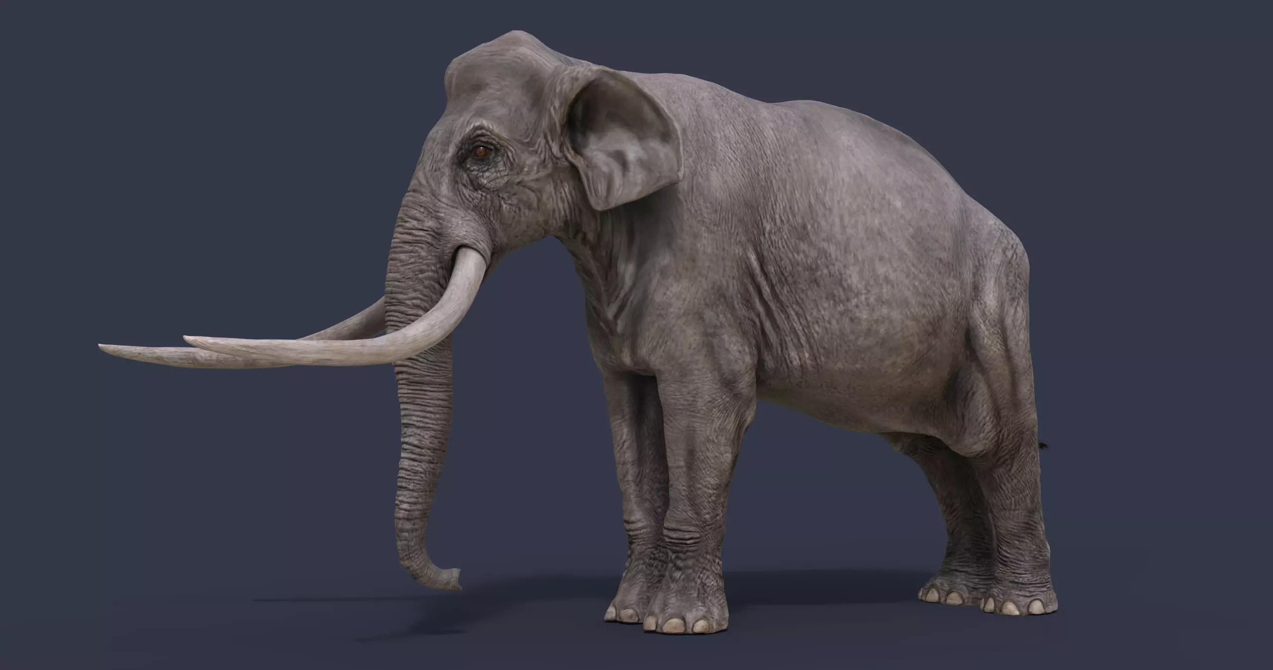 Palaeoloxodon antiquus Low-poly 3D model_0